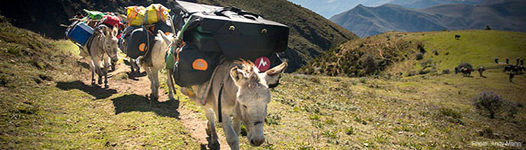 Marmot Adventure Travel