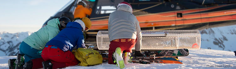Marmot Belts