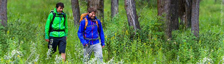 Marmot Mens Softshell Jackets